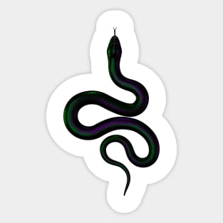 Rainbow Real Snake purple and green Sticker